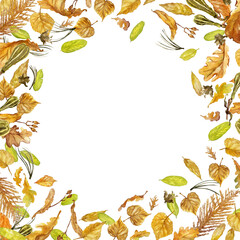autumn leaves frame