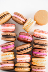 Assorted Flavored Macarons