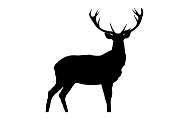 Fototapeta premium Black silhouette of deer