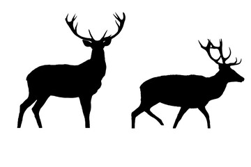 Naklejka na ściany i meble Deer silhouette isolated on white background