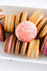 Assorted Macarons