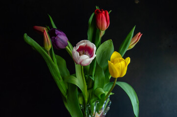 Spring flowers on a dark background.