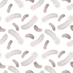 Obraz na płótnie Canvas The pattern. Large and small feathers. Watercolor. The images are hand-drawn and isolated on a white background.