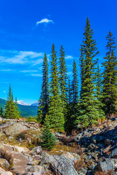 Picturesque  Shore Around Lake Moraine