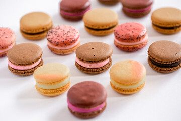 Assorted Macarons