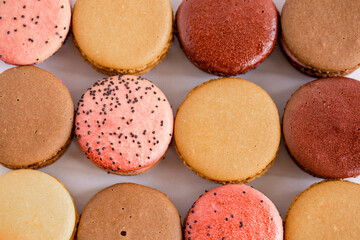Assorted Macarons