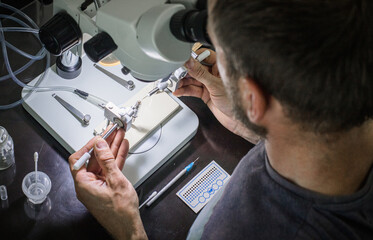 hands working. man artificially fertilizing queen bee. Tribal work with bees. insect fertilization tool.