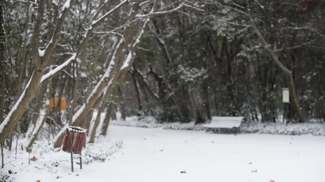 Copos de nieve cayendo en un parque vac&iacute;o sin gente. Un banco de madera cubierto de nieve.