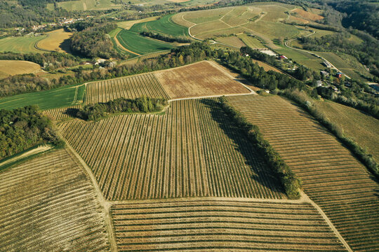 Le vignoble des hautes cotes du Nuits