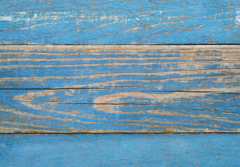 Texture of old wood planks with shabby and cracked blue paint close up. Grunge, vintage background, copy space.
