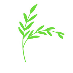 Fototapeta na wymiar Leaf branch natural icon. Vector illustration