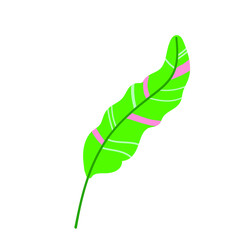 tropical leaf element Vector illustration