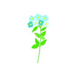 Forget me not blue flowers. Vector illustration. 
