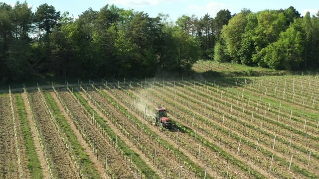 Labours dans le vignoble des hautes cotes de nuits