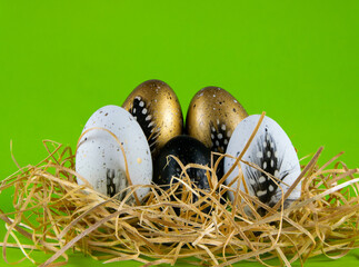 Easter eggs. Hay nest. Green background.