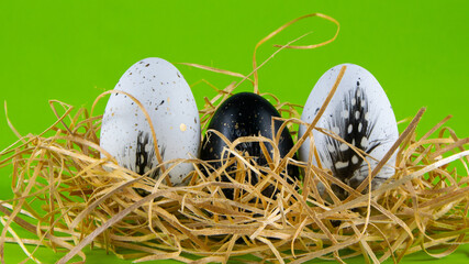 Easter eggs. Hay nest. Green background.