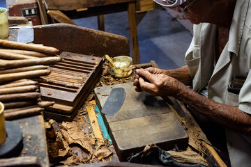 Older man working in tobacco factory, making cigars in Havana