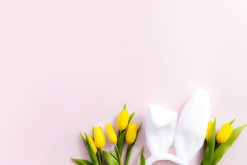 Easter concept. White fluffy rabbit ears, yellow tulips on a pink background