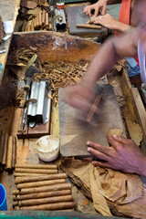 Older man working in tobacco factory, making cigars in Havana