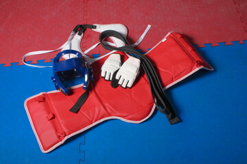 Red chest protection for taekwondo practice
