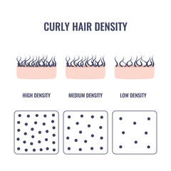 Curly hair density types classification set. Low, medium, high hair volume on scalp. Anatomical strand structure linear scheme. Outline vector illustration. - obrazy, fototapety, plakaty