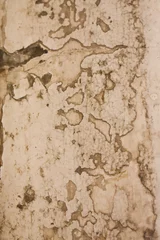 Runde Wanddeko Alte schmutzige strukturierte Wand alte Steinmauer
