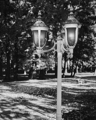 Parkowa lampa_The park lamp © Pawel