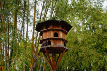 Wooden house for pigeons in the park With background of bamboo trees