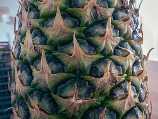 Naklejka na ściany i meble Detailed image of the peel of a pineapple