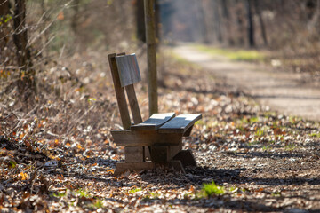 wooden bench at a walkway in a forest at winter time, blurred background
