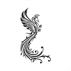 Peacock. Vector illustration. Isolated birds on white background.