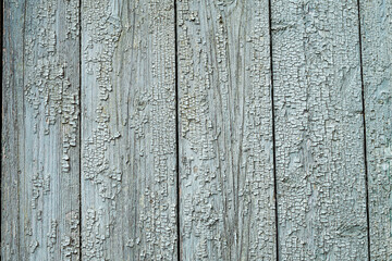 Light blue red and green weathered wooden background with cracked paint.