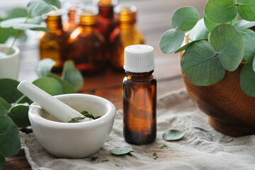 Bottle of eucalyptus oil, mortar and wooden bowl of green eucalyptus leaves. Tincture and oil...
