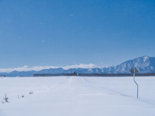 Fototapeta premium 冬の十勝