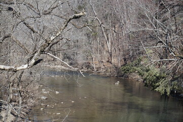 Wissahickon Creek in Winter