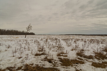 Elk Island on a Cloudy Day