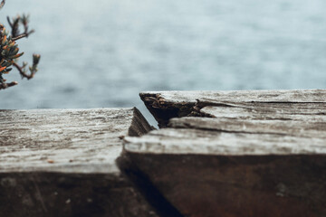 wooden fence