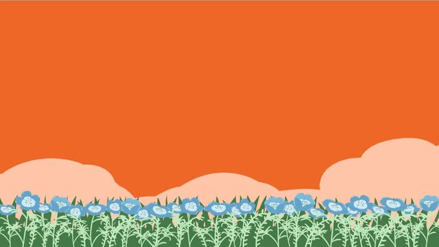 ネモフィラ　夕空