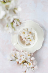 Fototapeta na wymiar Tiny cute porcelain coffee cup filled with spring blossom flowers