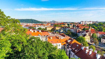 Fototapeta premium View of Prague Castle from Vysehrad with lush green spring trees, Prague, Czech Republic