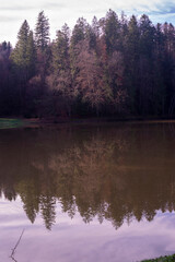 Reflections of trees in a lake in Croatia