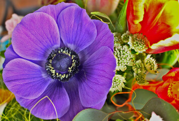 Fototapeta premium Colorful bouquet in spring