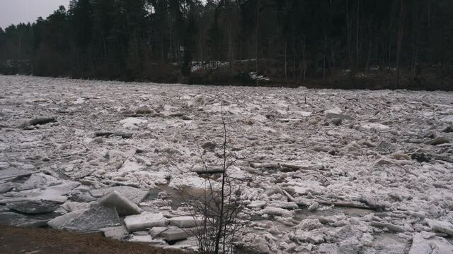 Huge Ice Loads Drift in the River Ogre, Latvia. Stedicam Shot in Snowy Mart Day. Congestion on the River in the Spring. A Large Cluster of Moving Ice Blocks