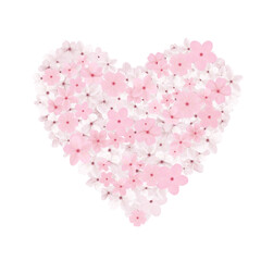 Sakura flower heart, cherry flowers
