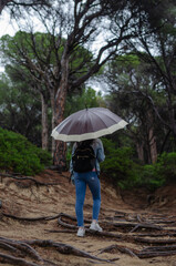 person under umbrella