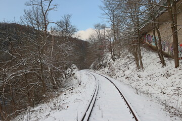 Winter