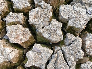 Land with dry and cracked ground. Background of arid cracked ground.