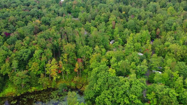 Aerial shot of structures amidst green trees by lake, drone flying forward over landscape - Berkshire County, Massachusetts