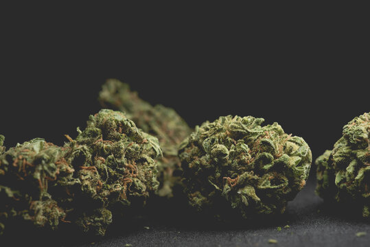 close up portrait of Amnesia Cannabis Marijuana Dry Buds