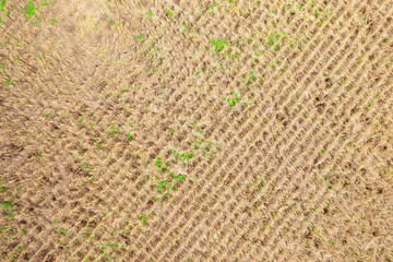beginning of the corn plantation in Goiania, Goias, Brazil, seen from above